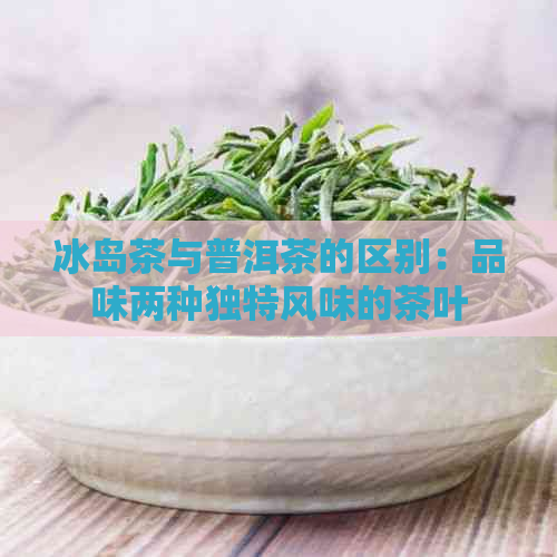 冰岛茶与普洱茶的区别：品味两种独特风味的茶叶