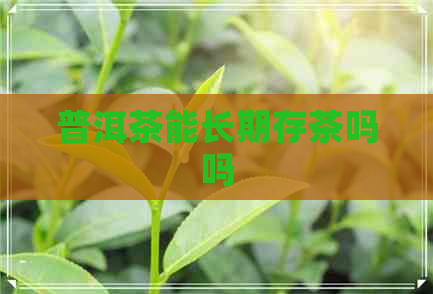 普洱茶能长期存茶吗吗