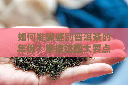 如何准确鉴别普洱茶的年份？掌握这四大要点不再迷茫