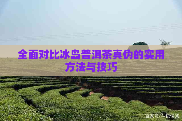 全面对比冰岛普洱茶真伪的实用方法与技巧