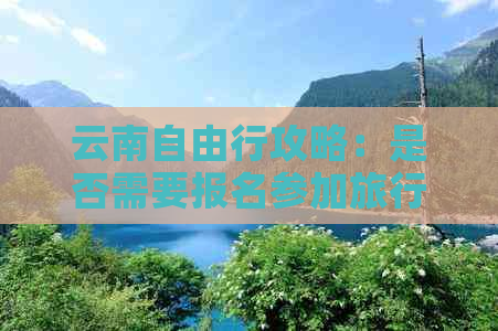 云南自由行攻略：是否需要报名参加旅行团？