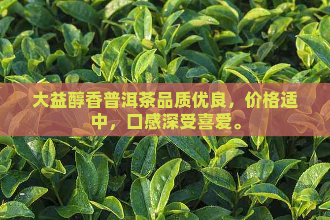 大益醇香普洱茶品质优良，价格适中，口感深受喜爱。