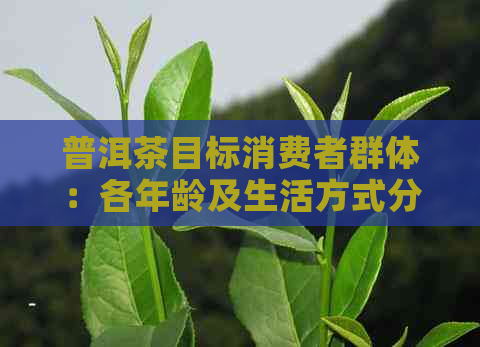 普洱茶目标消费者群体：各年龄及生活方式分析