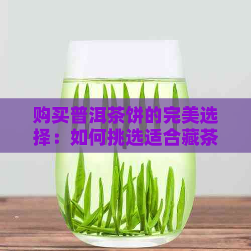 购买普洱茶饼的完美选择：如何挑选适合藏茶的材质罐