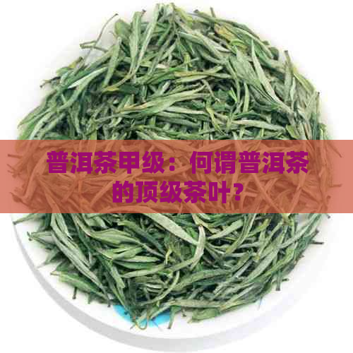 普洱茶甲级：何谓普洱茶的顶级茶叶？