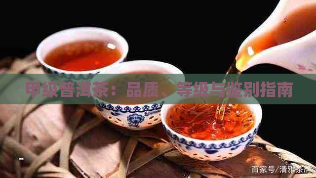 甲级普洱茶：品质、等级与鉴别指南