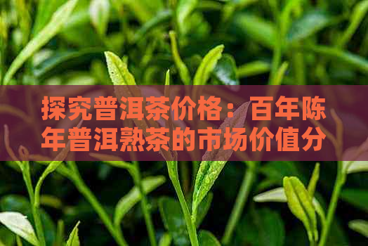 探究普洱茶价格：百年陈年普洱熟茶的市场价值分析