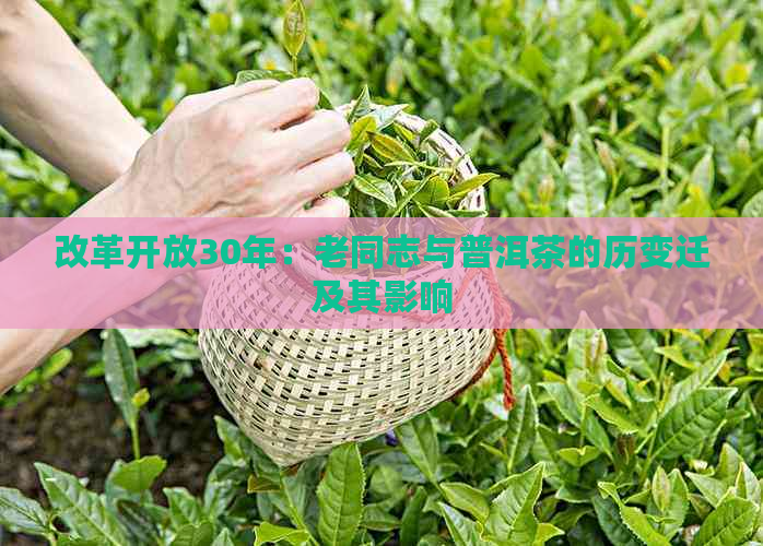 改革开放30年：老同志与普洱茶的历变迁及其影响