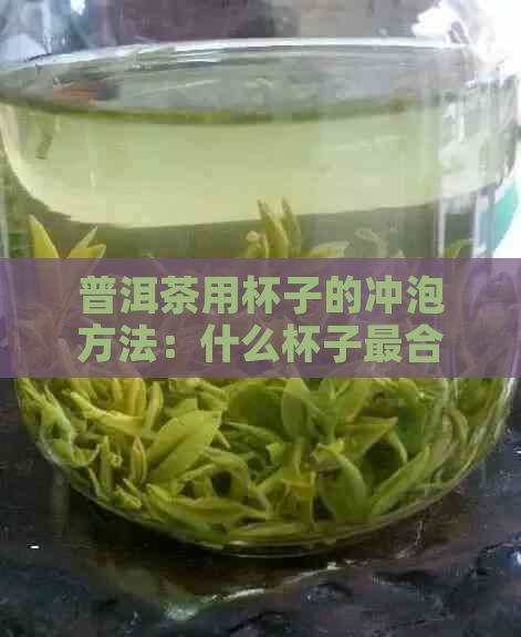 普洱茶用杯子的冲泡方法：什么杯子最合适？