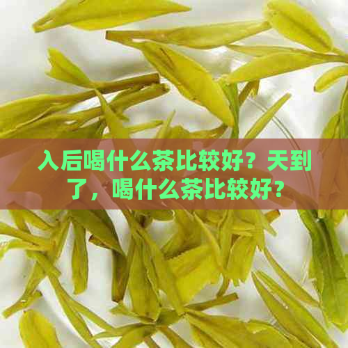 入后喝什么茶比较好？天到了，喝什么茶比较好？