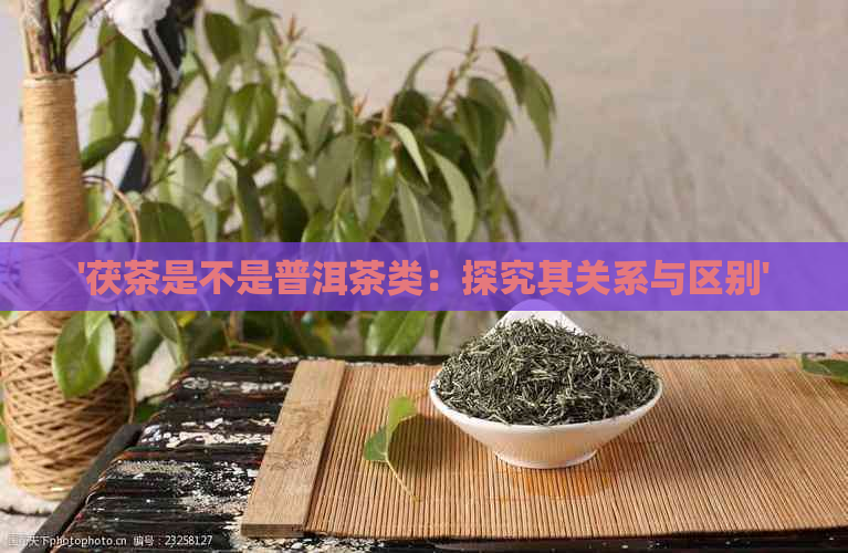 '茯茶是不是普洱茶类：探究其关系与区别'