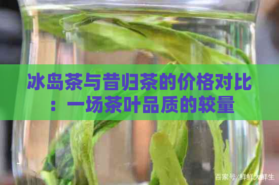 冰岛茶与昔归茶的价格对比：一场茶叶品质的较量