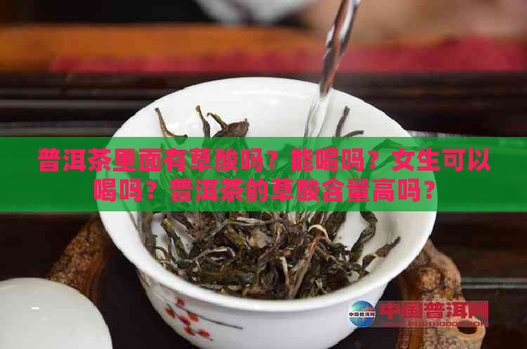 普洱茶里面有草酸吗？能喝吗？女生可以喝吗？普洱茶的草酸含量高吗？