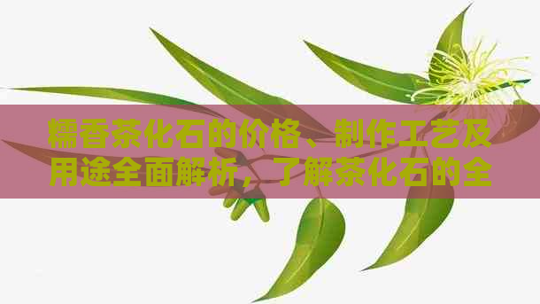 糯香茶化石的价格、制作工艺及用途全面解析，了解茶化石的全方位信息