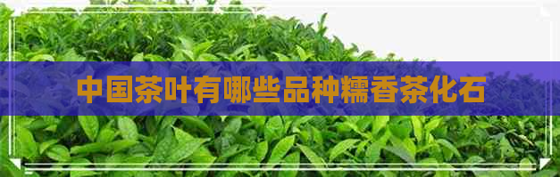 中国茶叶有哪些品种糯香茶化石