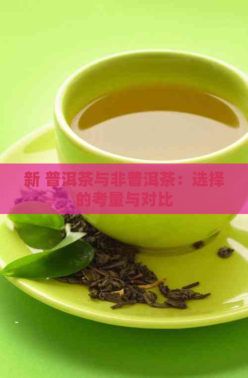 新 普洱茶与非普洱茶：选择的考量与对比