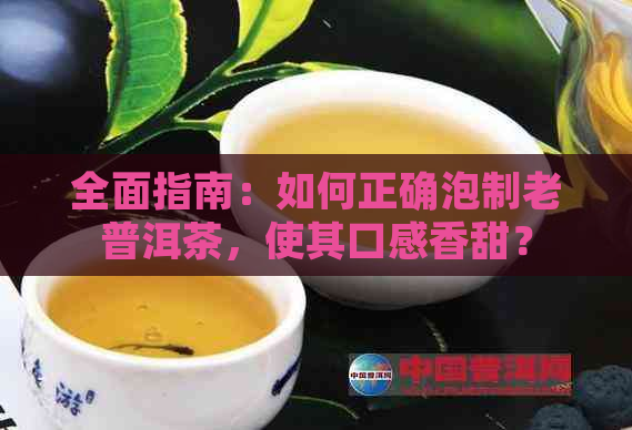 全面指南：如何正确泡制老普洱茶，使其口感香甜？