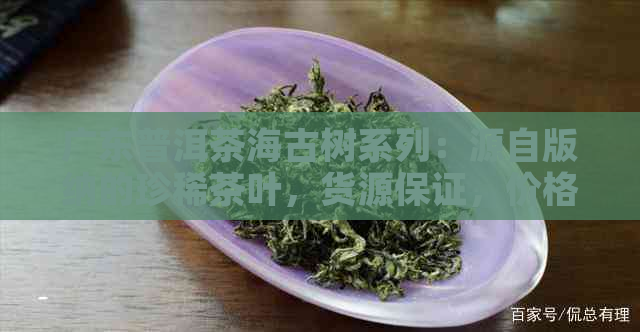 广东普洱茶海古树系列：源自版纳的珍稀茶叶，货源保证，价格实