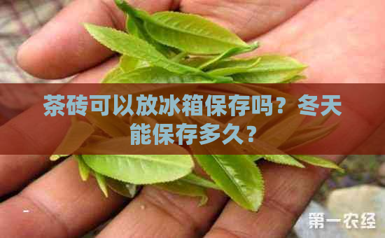 茶砖可以放冰箱保存吗？冬天能保存多久？