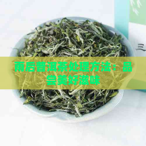 雨后普洱茶处理方法：品尝美好滋味