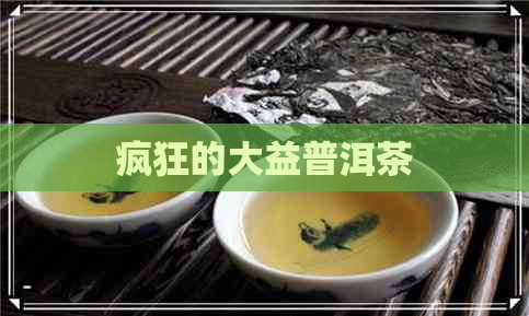 疯狂的大益普洱茶