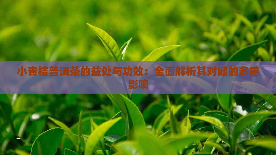 小青桔普洱茶的益处与功效：全面解析其对健的多重影响