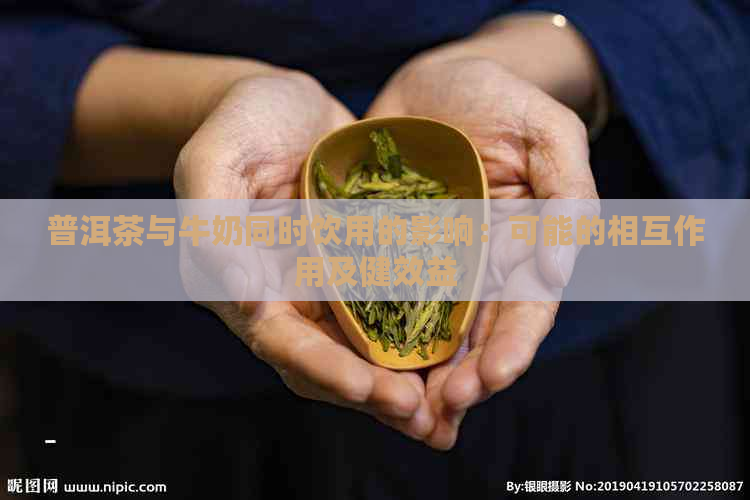 普洱茶与牛奶同时饮用的影响：可能的相互作用及健效益