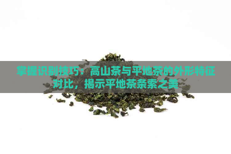 掌握识别技巧：高山茶与平地茶的外形特征对比，揭示平地茶条索之美