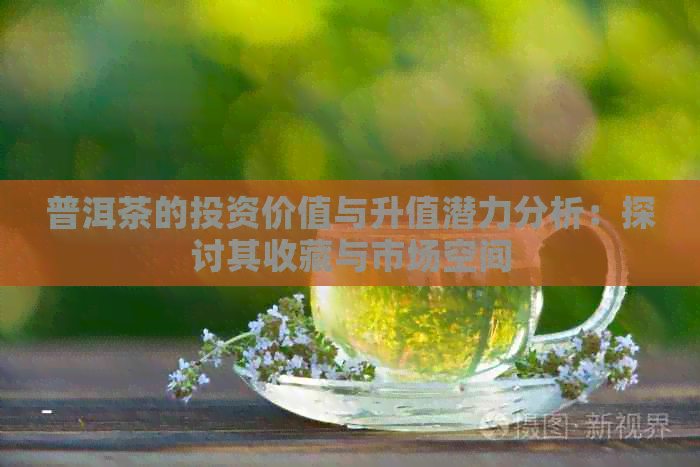 普洱茶的投资价值与升值潜力分析：探讨其收藏与市场空间