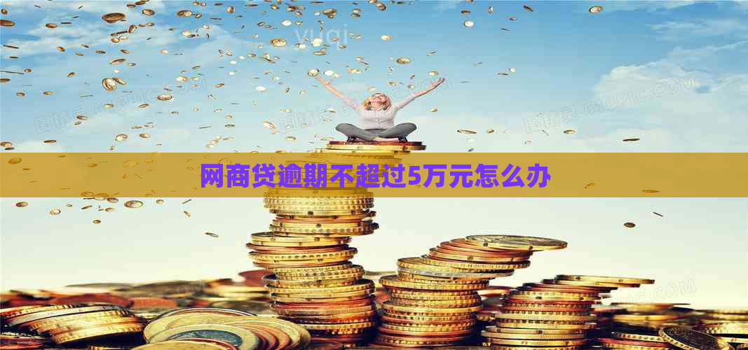 网商贷逾期不超过5万元怎么办