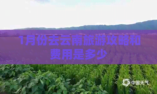 1月份去云南旅游攻略和费用是多少