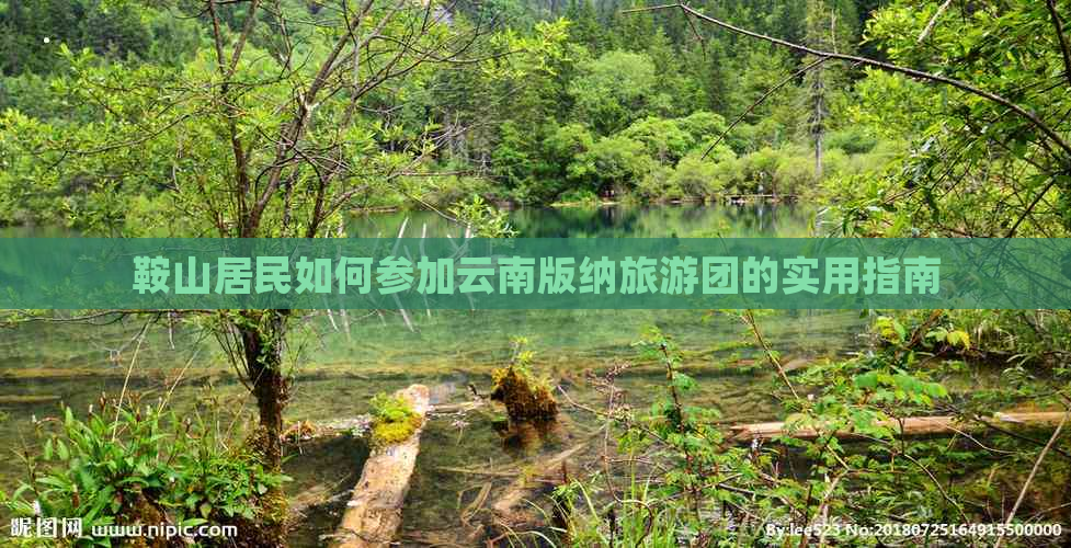 鞍山居民如何参加云南版纳旅游团的实用指南