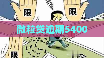 微粒贷逾期54000