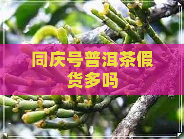 同庆号普洱茶假货多吗