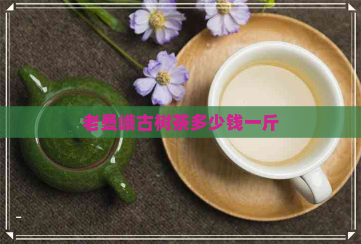 老曼峨古树茶多少钱一斤