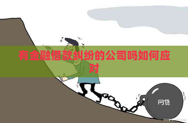 有金融借款纠纷的公司吗如何应对