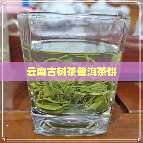 云南古树茶普洱茶饼