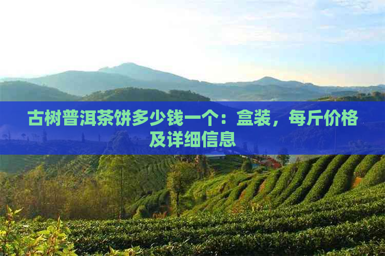 古树普洱茶饼多少钱一个：盒装，每斤价格及详细信息