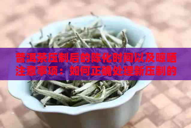 普洱茶压制后的陈化时间以及晾晒注意事项：如何正确处理新压制的普洱茶？