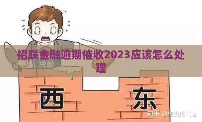 招联金融逾期2023应该怎么处理