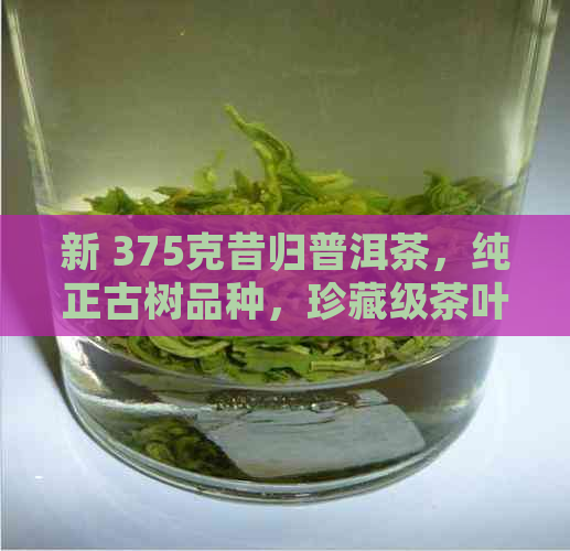 新 375克昔归普洱茶，纯正古树品种，珍藏级茶叶，限时优价