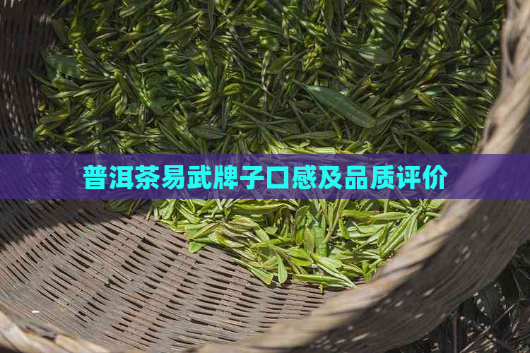 普洱茶易武牌子口感及品质评价