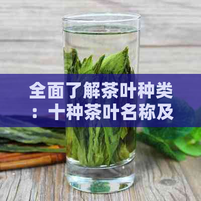 全面了解茶叶种类：十种茶叶名称及其特点与冲泡方法