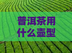 普洱茶用什么壶型比较好喝：探究泡茶工具