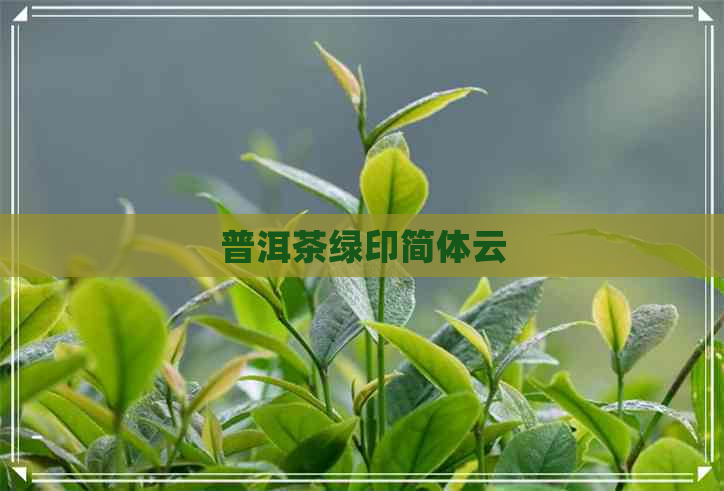 普洱茶绿印简体云