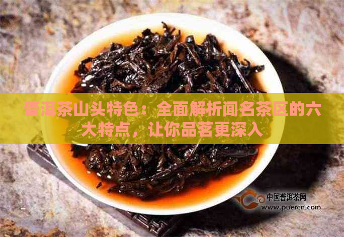 普洱茶山头特色：全面解析闻名茶区的六大特点，让你品茗更深入