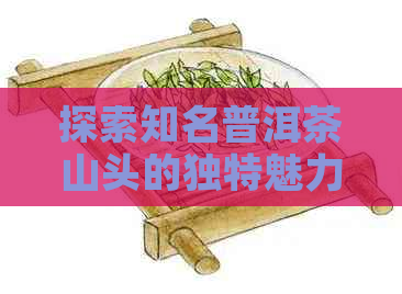 探索知名普洱茶山头的独特魅力：灞之外的特色与风格