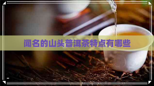 闻名的山头普洱茶特点有哪些