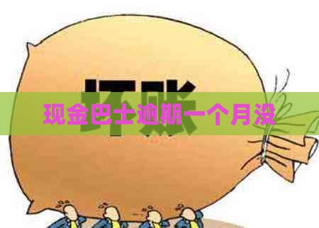 现金巴士逾期一个月没