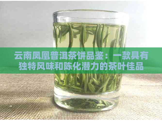 云南凤凰普洱茶饼品鉴：一款具有独特风味和陈化潜力的茶叶佳品